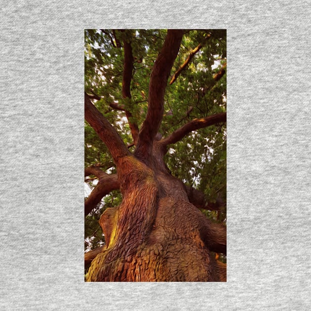 Tree Study by RockyBadlands